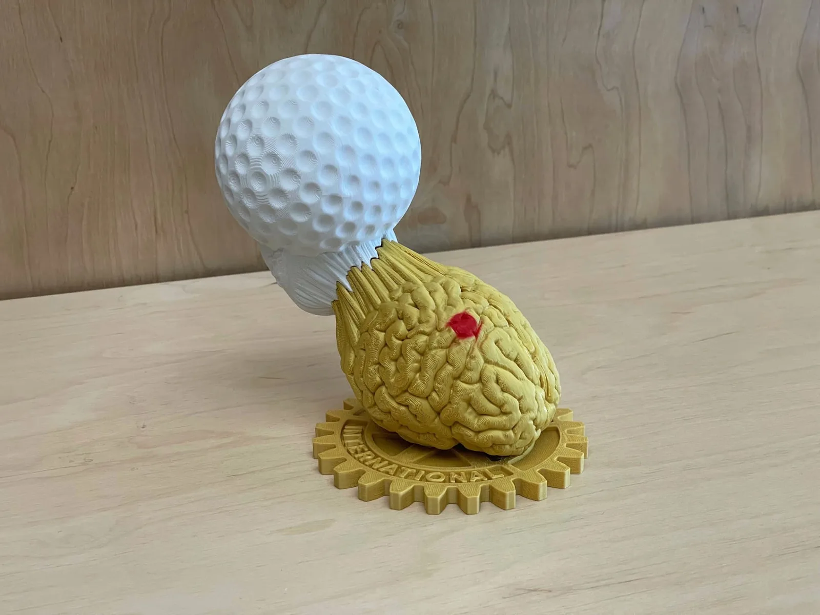 Golfová trofej s anatomickým motivem pro Rotary Golf